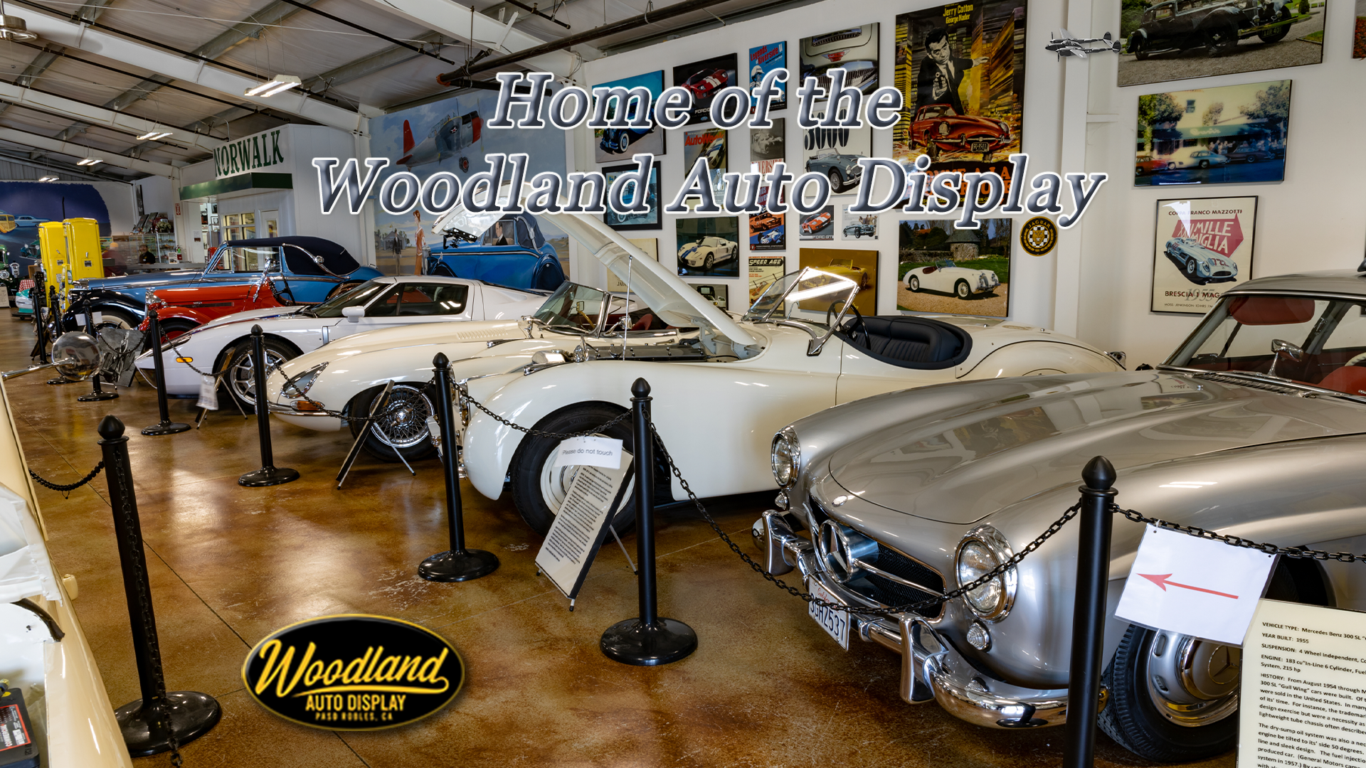 Woodland Auto Display